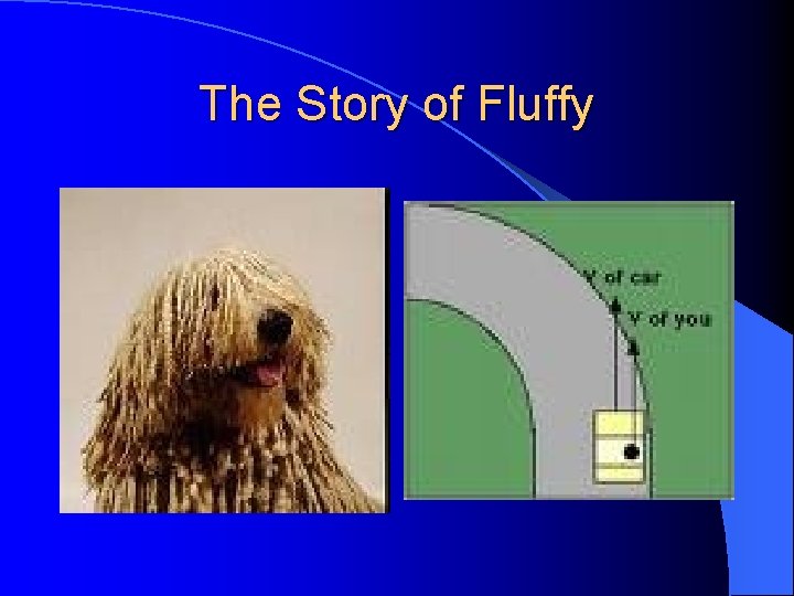 The Story of Fluffy 