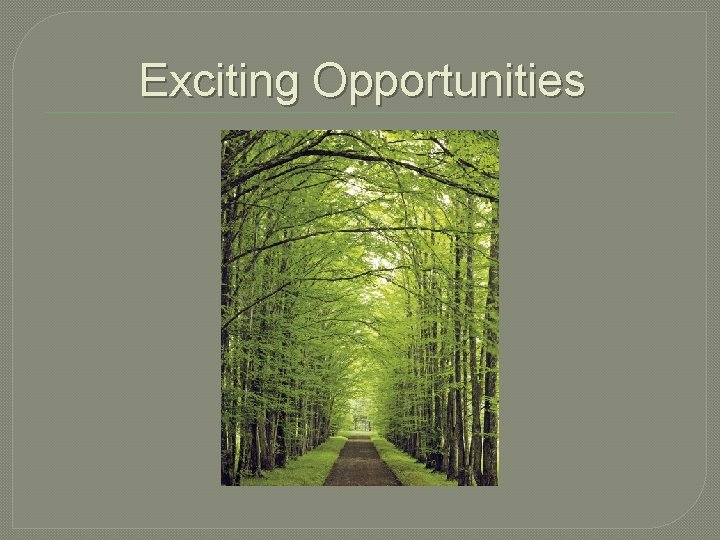 Exciting Opportunities Exciting Opportunities