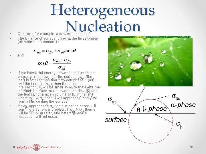 Heterogeneous Nucleation • • Consider, for example, a dew drop on a leaf. The