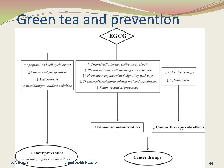 Green tea and prevention 10/26/2021 Naini Kohli NYANP 44 