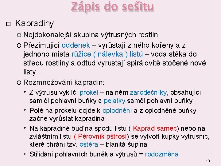 Zápis do sešitu Kapradiny Nejdokonalejší skupina výtrusných rostlin Přezimující oddenek – vyrůstají z něho