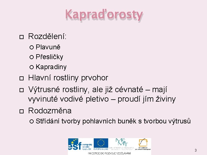 Kapraďorosty Rozdělení: Plavuně Přesličky Kapradiny Hlavní rostliny prvohor Výtrusné rostliny, ale již cévnaté –