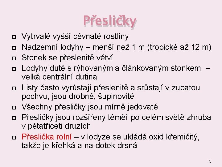 Přesličky Vytrvalé vyšší cévnaté rostliny Nadzemní lodyhy – menší než 1 m (tropické až