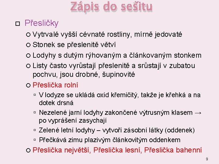 Zápis do sešitu Přesličky Vytrvalé vyšší cévnaté rostliny, mírně jedovaté Stonek se přeslenitě větví