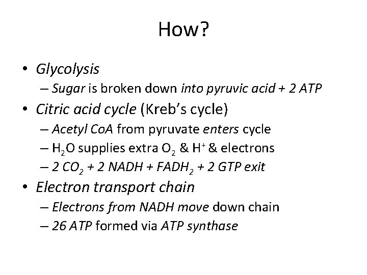 How? • Glycolysis – Sugar is broken down into pyruvic acid + 2 ATP