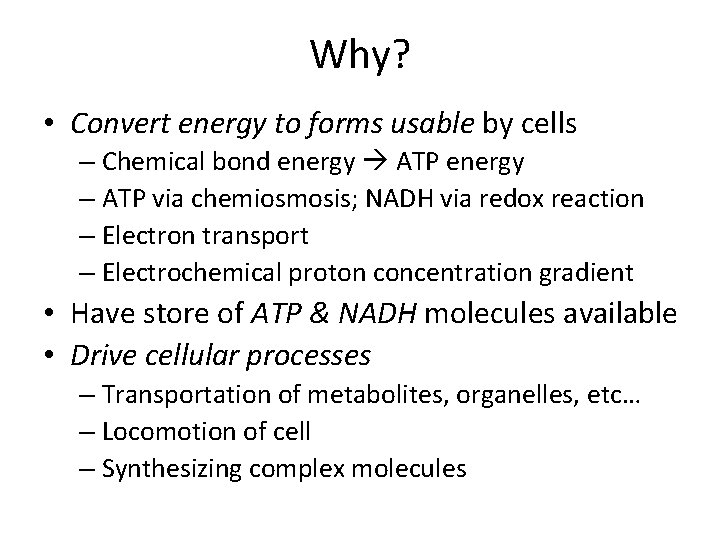 Why? • Convert energy to forms usable by cells – Chemical bond energy ATP