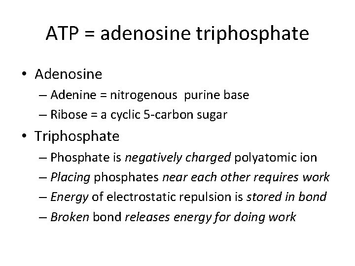 ATP = adenosine triphosphate • Adenosine – Adenine = nitrogenous purine base – Ribose