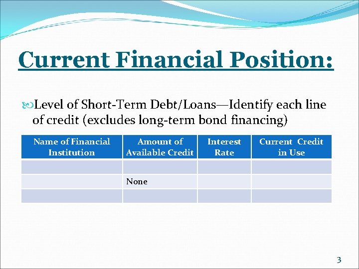 Current Financial Position: Level of Short-Term Debt/Loans—Identify each line of credit (excludes long-term bond