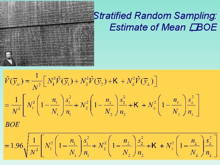 Stratified Random Sampling: Estimate of Mean � , BOE 