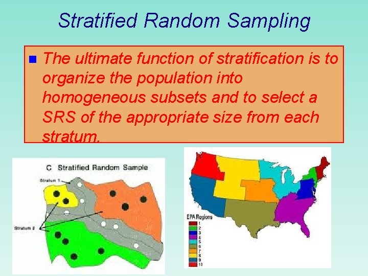 Stratified Random Sampling n The ultimate function of stratification is to organize the population