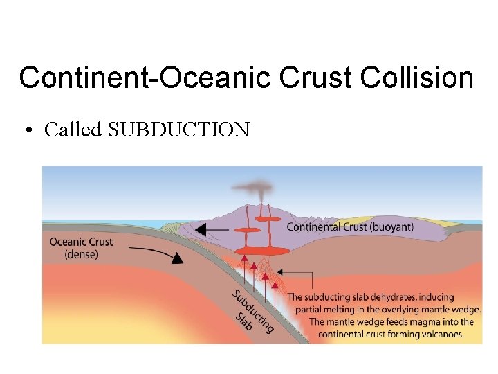 Continent-Oceanic Crust Collision • Called SUBDUCTION 