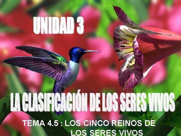 TEMA 4. 5 : LOS CINCO REINOS DE LOS SERES VIVOS 