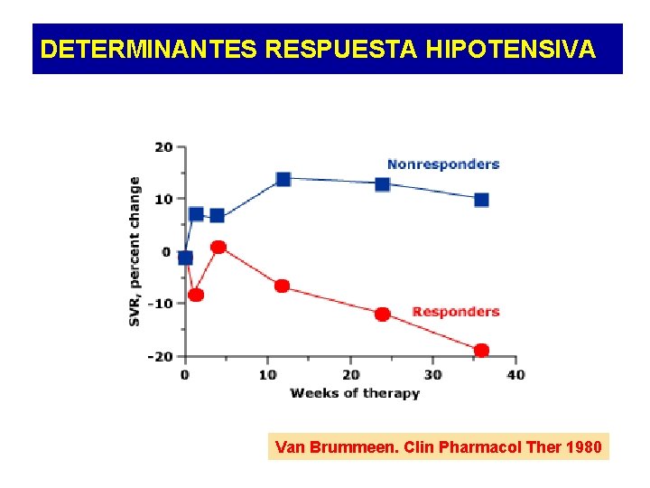 DETERMINANTES RESPUESTA HIPOTENSIVA Van Brummeen. Clin Pharmacol Ther 1980 