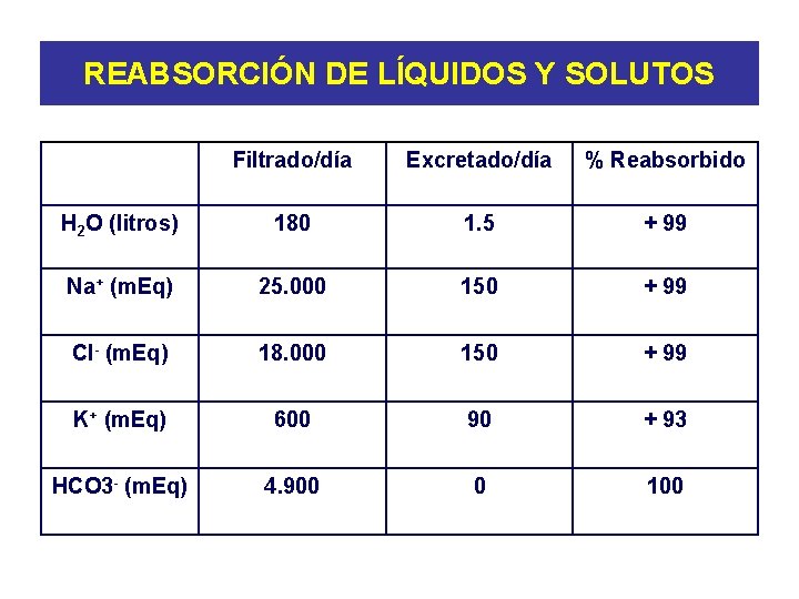 REABSORCIÓN DE LÍQUIDOS Y SOLUTOS Filtrado/día Excretado/día % Reabsorbido H 2 O (litros) 180