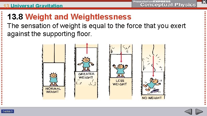 13 Universal Gravitation 13. 8 Weight and Weightlessness The sensation of weight is equal