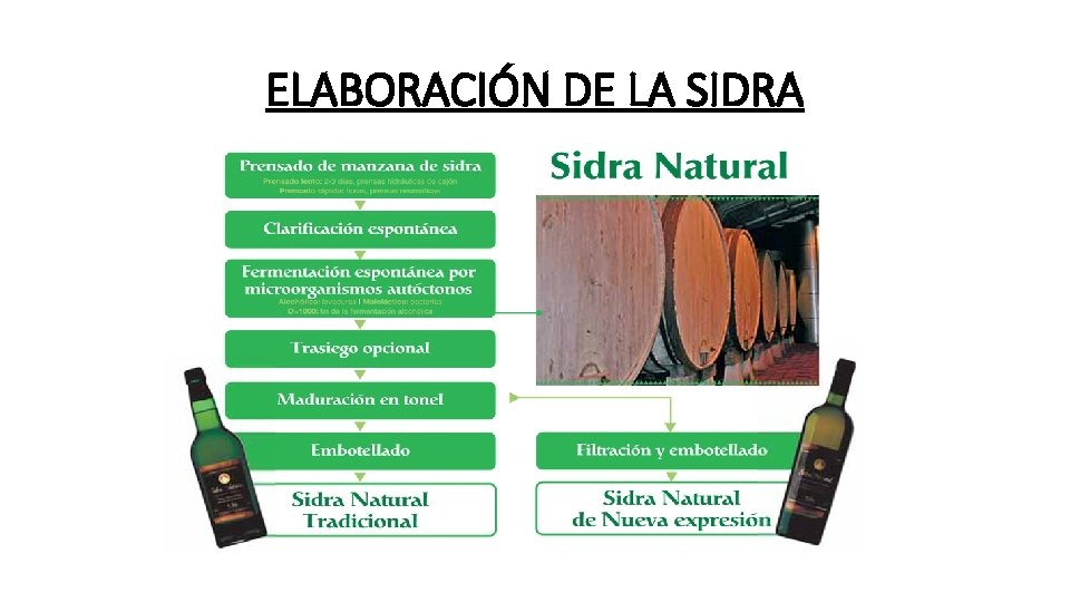 ELABORACIÓN DE LA SIDRA 