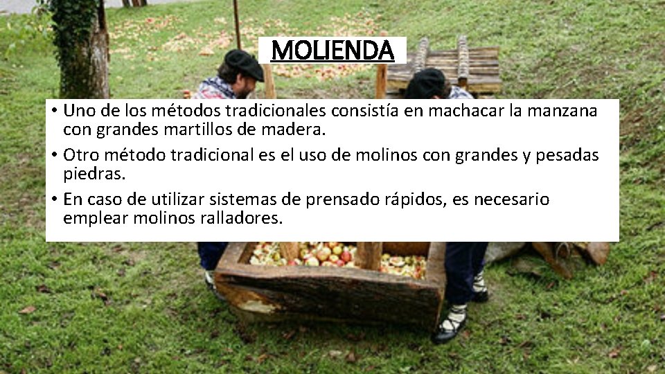 MOLIENDA • Uno de los métodos tradicionales consistía en machacar la manzana con grandes