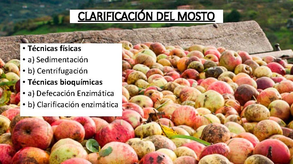 CLARIFICACIÓN DEL MOSTO • Técnicas físicas • a) Sedimentación • b) Centrifugación • Técnicas