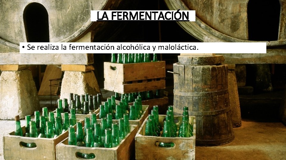 LA FERMENTACIÓN • Se realiza la fermentación alcohólica y maloláctica. 