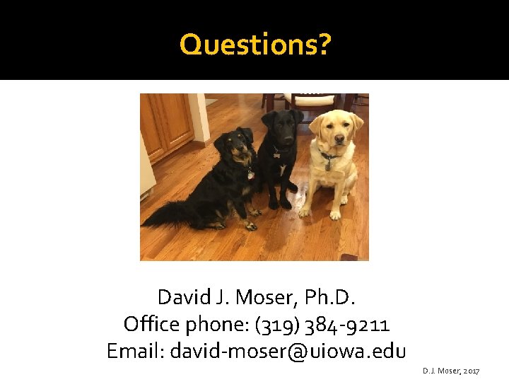 Questions? David J. Moser, Ph. D. Office phone: (319) 384 -9211 Email: david-moser@uiowa. edu