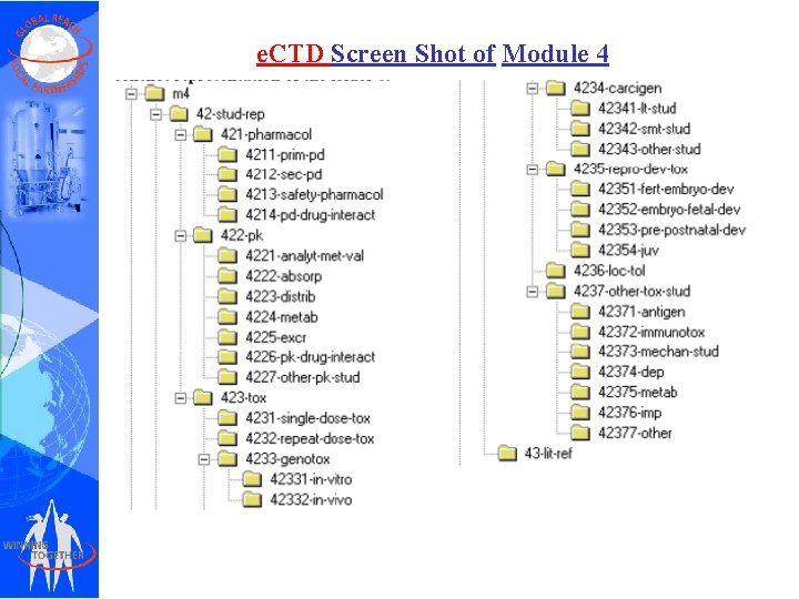 e. CTD Screen Shot of Module 4 