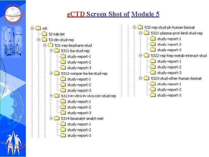 e. CTD Screen Shot of Module 5 