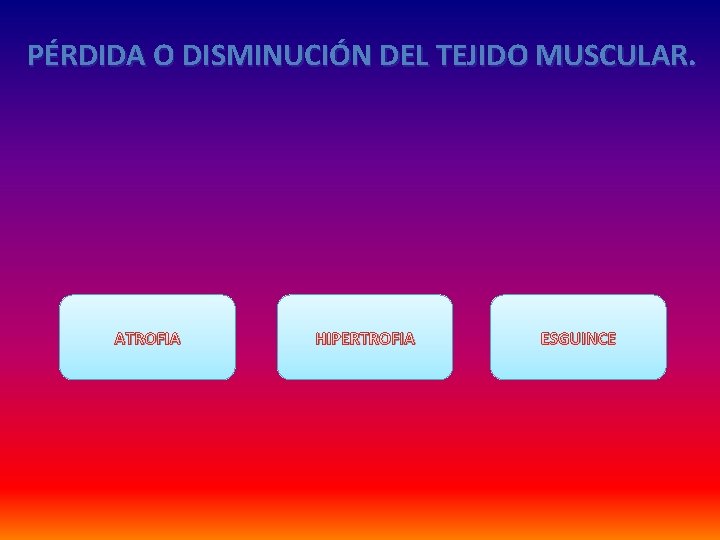PÉRDIDA O DISMINUCIÓN DEL TEJIDO MUSCULAR. ATROFIA HIPERTROFIA ESGUINCE 