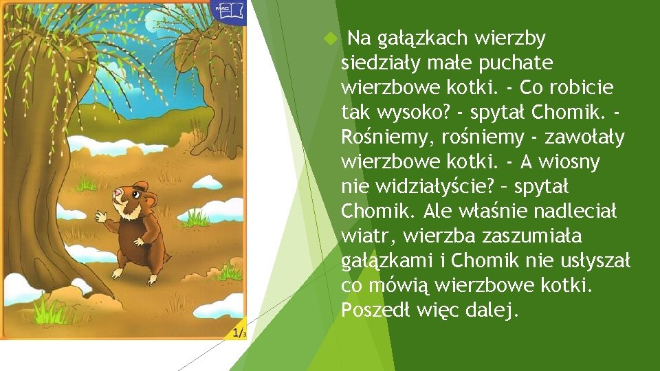  Na gałązkach wierzby siedziały małe puchate wierzbowe kotki. - Co robicie tak wysoko?