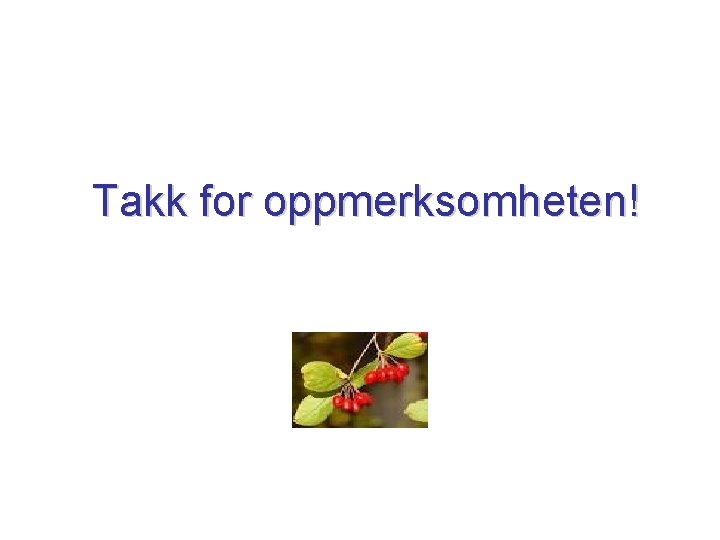 Takk for oppmerksomheten! 