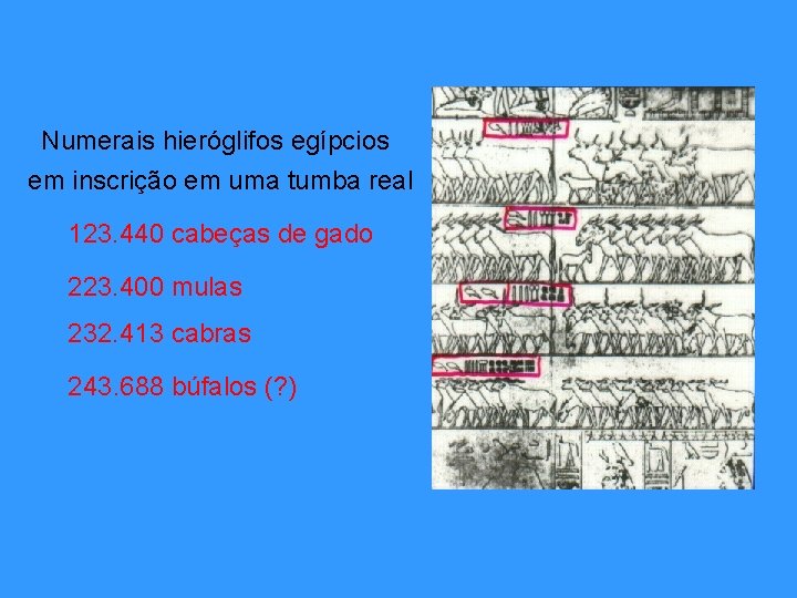 Numerais hieróglifos egípcios em inscrição em uma tumba real 123. 440 cabeças de gado