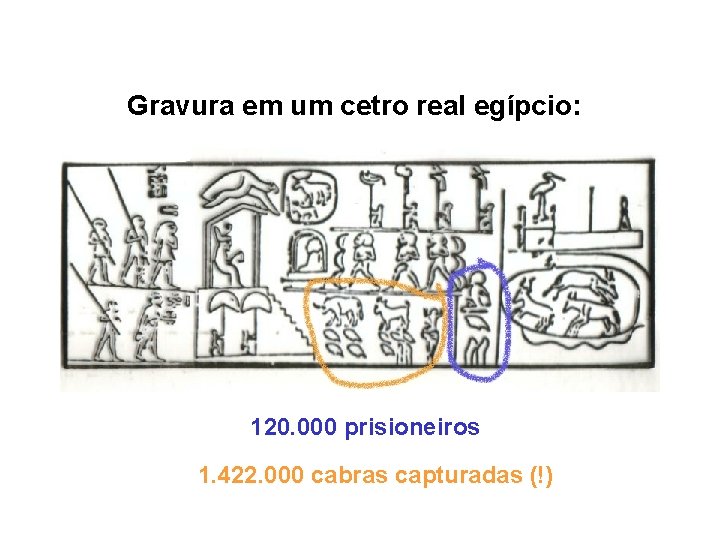 Gravura em um cetro real egípcio: 120. 000 prisioneiros 1. 422. 000 cabras capturadas