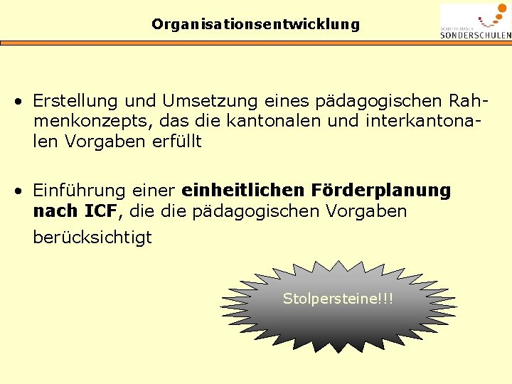 Organisationsentwicklung • Erstellung und Umsetzung eines pädagogischen Rahmenkonzepts, das die kantonalen und interkantonalen Vorgaben