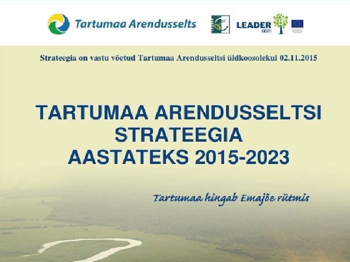 TASi strateegia täitmine 20092014 