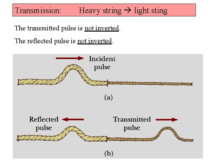 Transmission: Heavy string light sting The transmitted pulse is not inverted. The reflected pulse