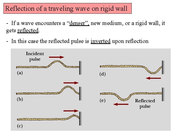 Reflection of a traveling wave on rigid wall - If a wave encounters a