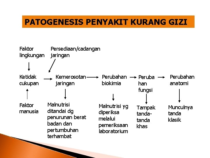 PATOGENESIS PENYAKIT KURANG GIZI Faktor lingkungan Persediaan/cadangan jaringan Ketidak cukupan Kemerosotan jaringan Perubahan biokimia