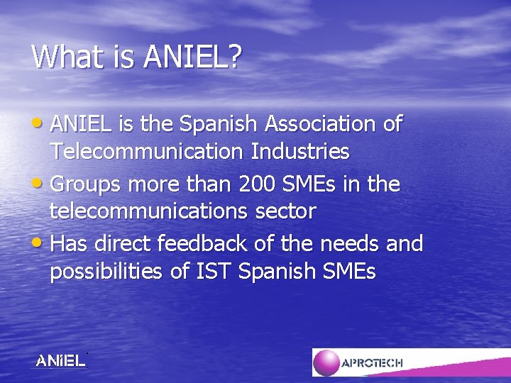 What is ANIEL? • ANIEL is the Spanish Association of Telecommunication Industries • Groups