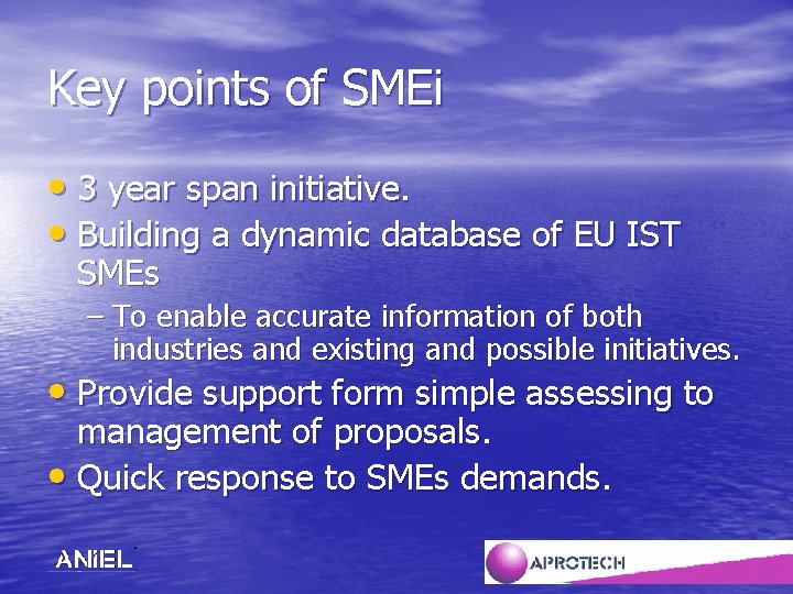 Key points of SMEi • 3 year span initiative. • Building a dynamic database