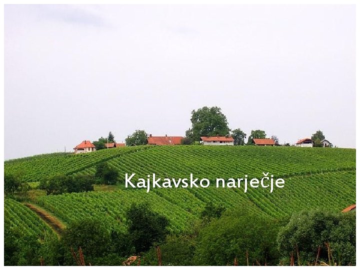 Kajkavsko narječje 