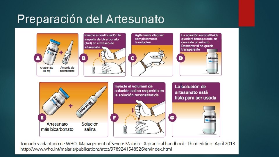 Preparación del Artesunato 