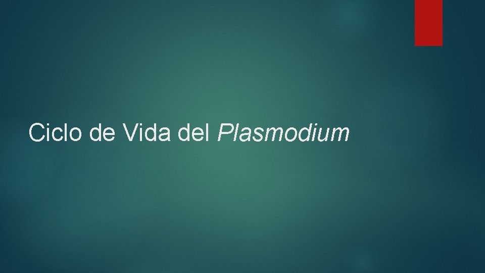 Ciclo de Vida del Plasmodium 