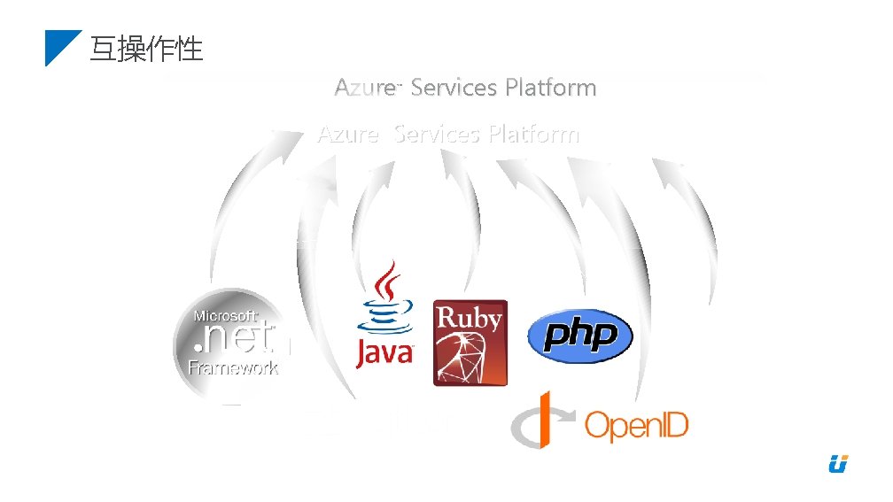 互操作性 Azure Services Platform ™ 