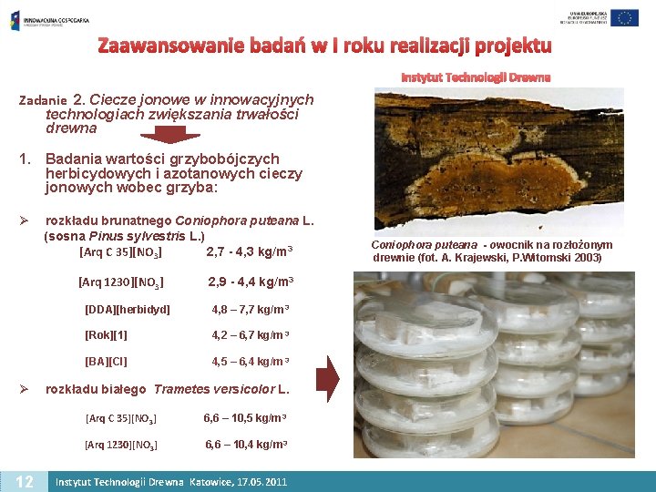 Zaawansowanie badań w I roku realizacji projektu Instytut Technologii Drewna Zadanie 2. Ciecze jonowe