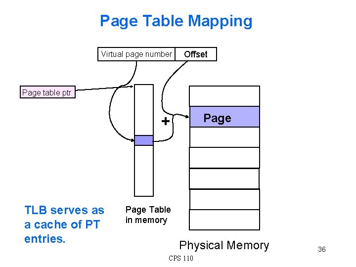 Page Table Mapping Virtual page number Offset Page table ptr Page + TLB serves