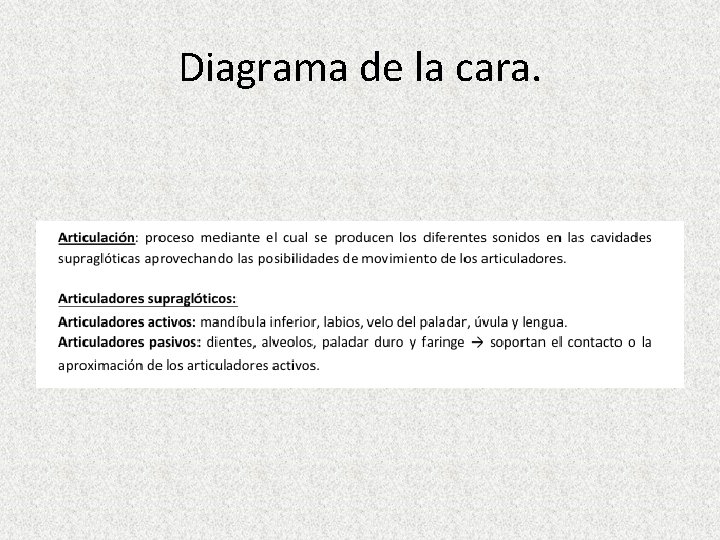 Diagrama de la cara. 