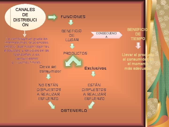 CANALES DE DISTRIBUCI ÓN FUNCIONES BENEFICIO DE LUGAR Lo constituye un grupo de intermediarios