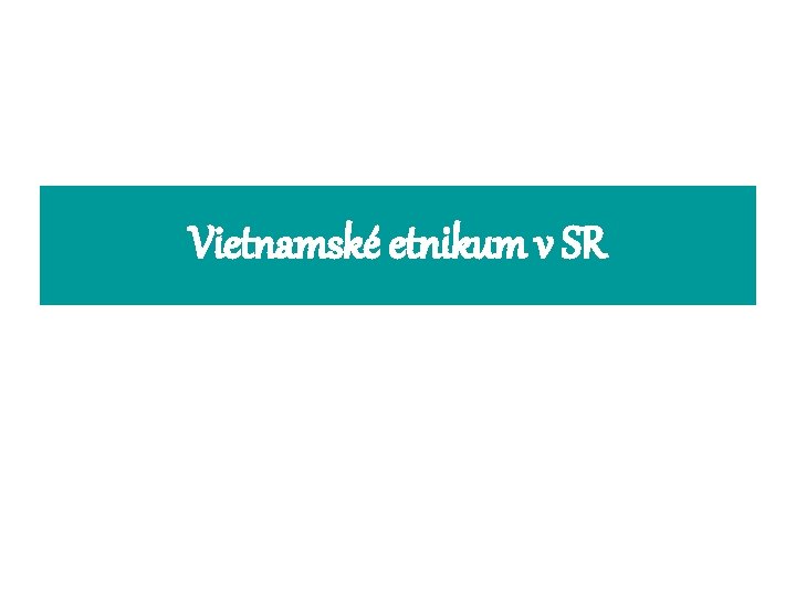 Vietnamské etnikum v SR 