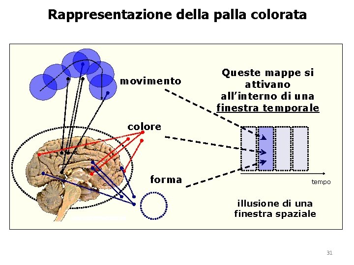 Rappresentazione della palla colorata movimento Queste mappe si attivano all’interno di una finestra temporale