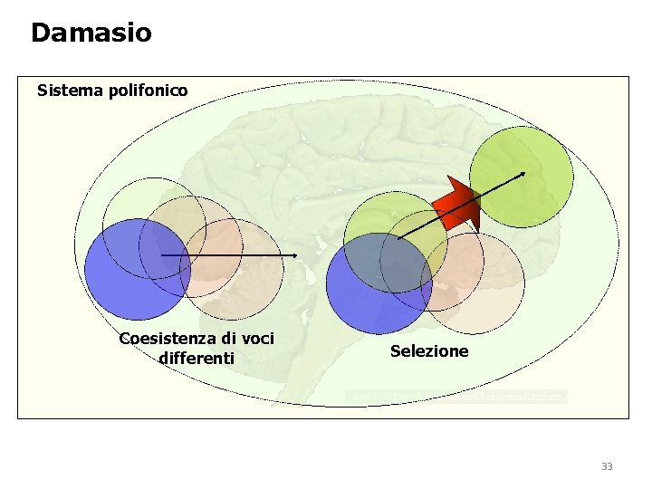 Damasio Sistema polifonico Coesistenza di voci differenti Selezione 33 