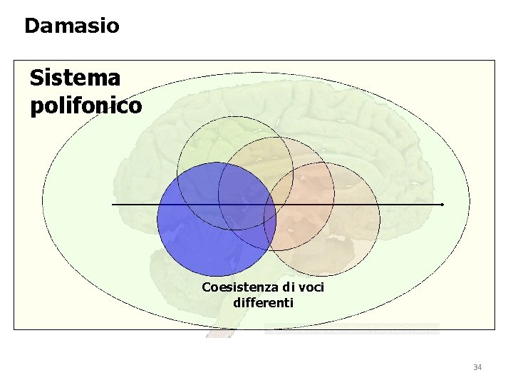 Damasio Sistema polifonico Coesistenza di voci differenti 34 